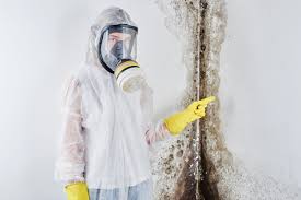 Mold Removal for HVAC Installations in St Francisville, LA